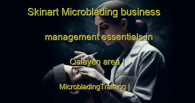 Skinart Microblading business management essentials in Qalayen area | MicrobladingTraining | MicrobladingClasses | SkinartTraining-Islamic Republic of Iran